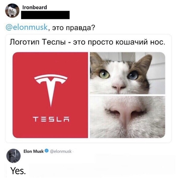 Юмор и прикольные картинки