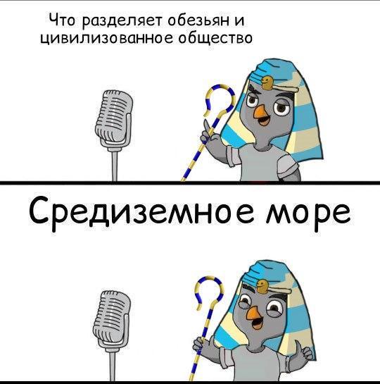 Перлы — 02.11.2020