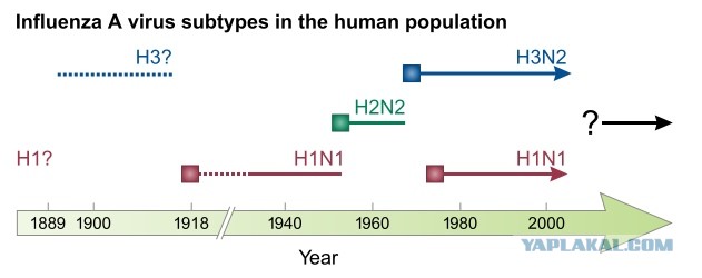 H1N1 - от испанки до наших дней: "нулевой мальчик" и пандемии