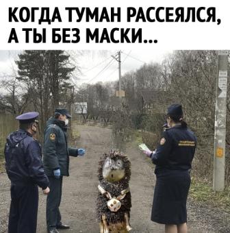 Юмор в картинках 17.11.20