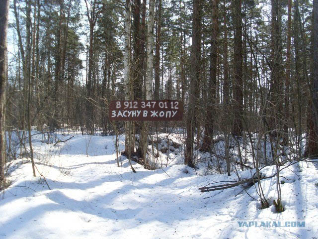 Не надо мусорить