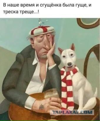 Забавные шутки, картинки и фразы из этих ваших интернетов