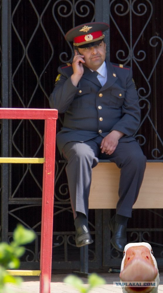 Фотожаба: Грустный...