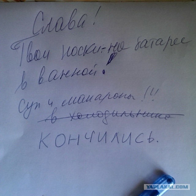 Шедевры поэзии от людей, которых муза подстерегает буквально на каждом шагу