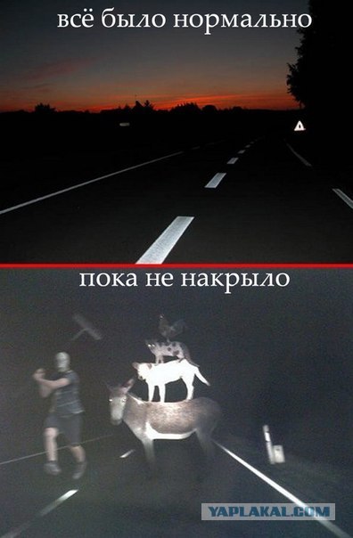 Неожиданный налёт