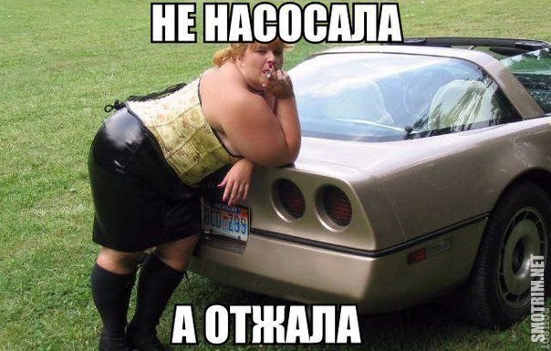 Весёлый полтишок 7.05