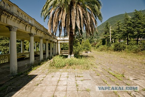 Заброшенный вокзал в Гаграх (12 фото)