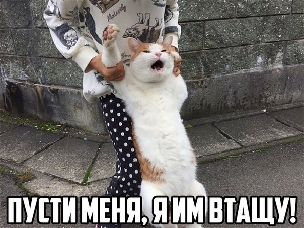 Новая реальность ограничений, к которой готовы не все