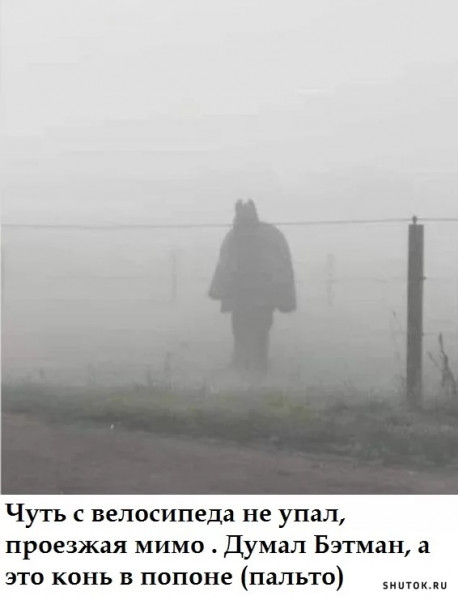 Картинки на среду 03.11.2021. Разные