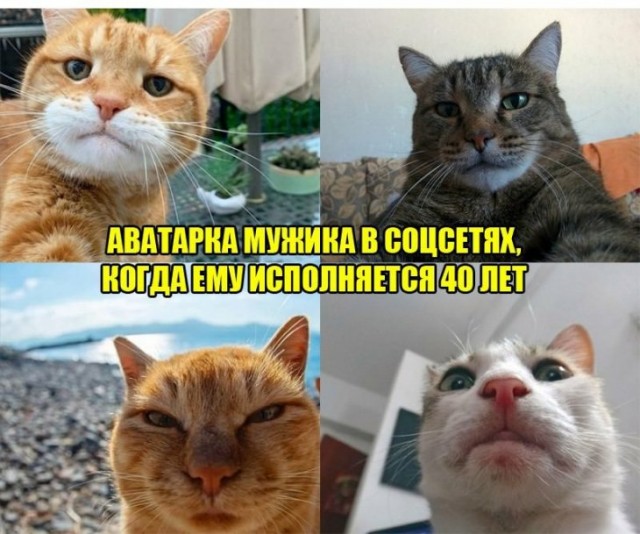 Картинки и мемы для настроения 16.11.2021