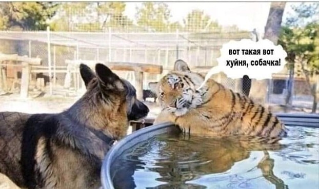 Я плохая жена? Тайком купила квартиру и записала на свою маму