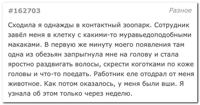 Забавные комментарии из социальных сетей (13.06.22)