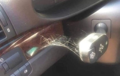 А, вот почему водители БМВ так любят нарушать правила