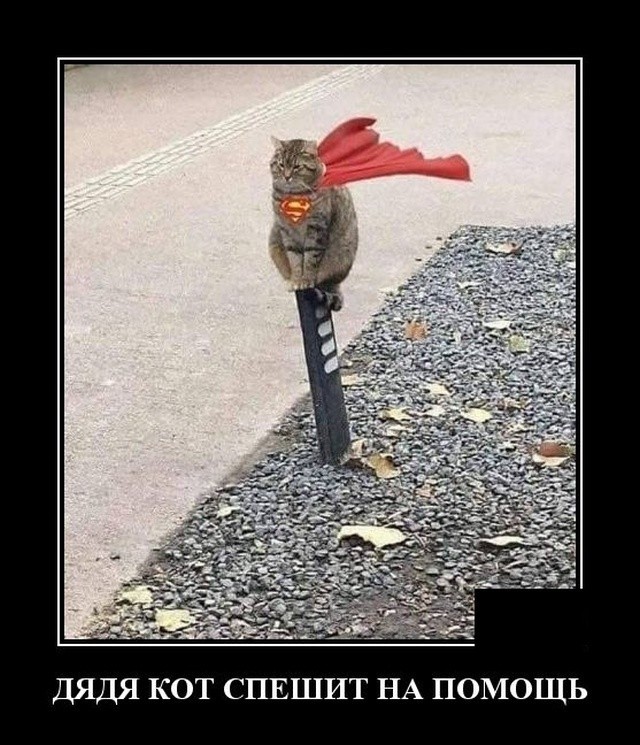 Картинки с надписями 14.08.22