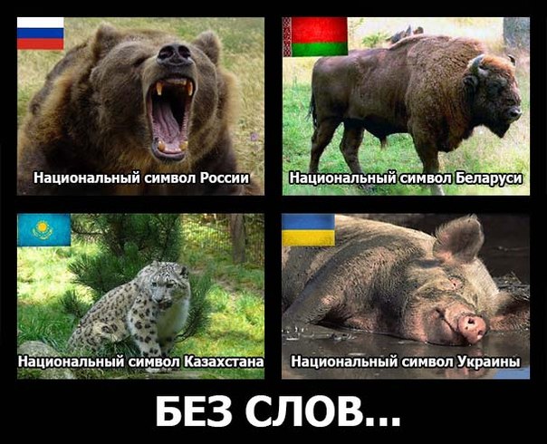 Израильский телеканал INN показал мультик про У