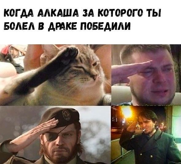 Состоялся реванш Дацика и Александра Емельяненко.