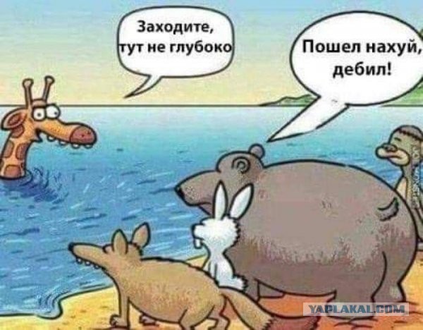 Юмор категории Б(аяны)