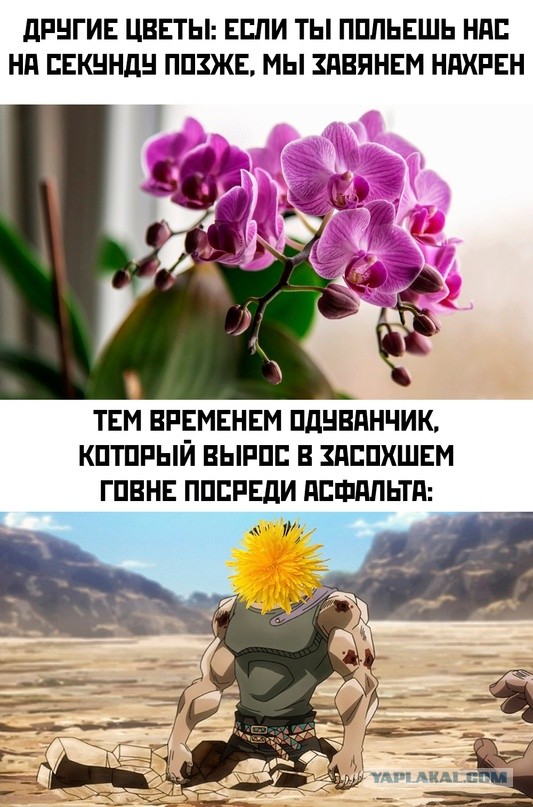 Весёлый полтишок 30.04.23