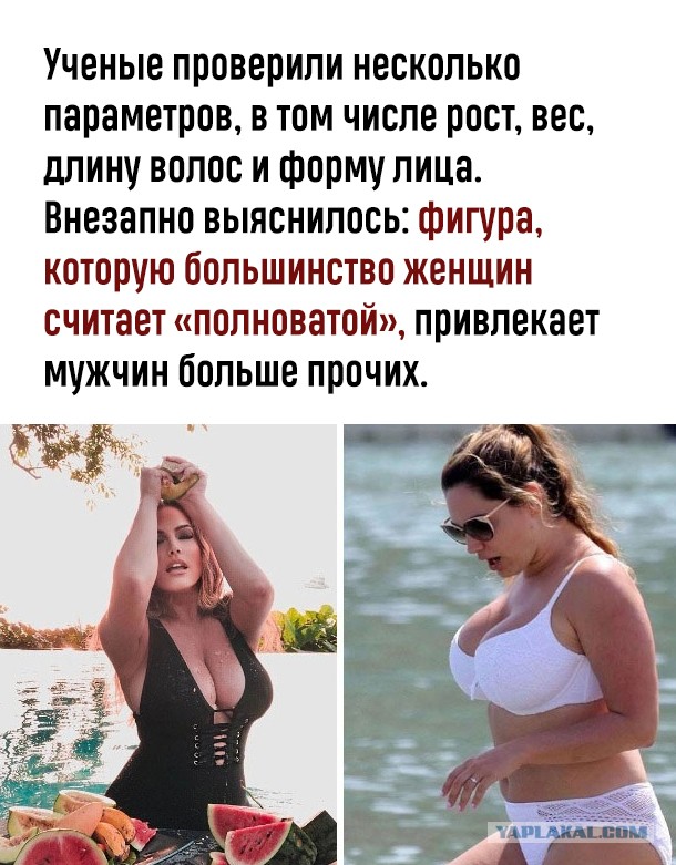 Про любовь худых мужиков к дамам в теле