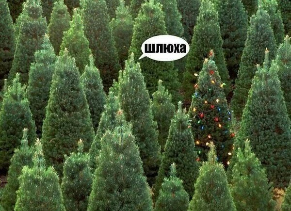 Новогодне-боянисто-депрессивное