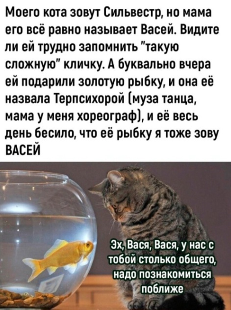 Так себе картинки 21.02.24