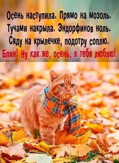 Забавные картинки, шутки из этих ваших интернетов