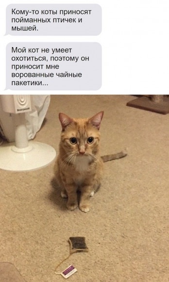 Завалялось тут случайно немного забавных картинок
