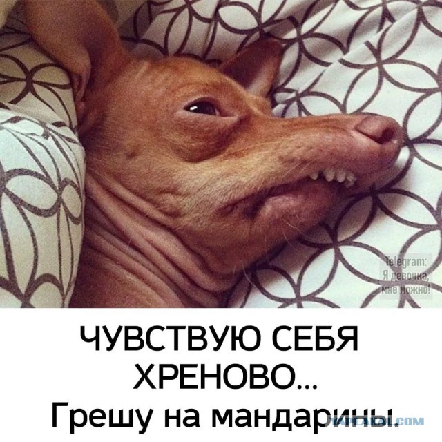 Состояние  шестого января такое