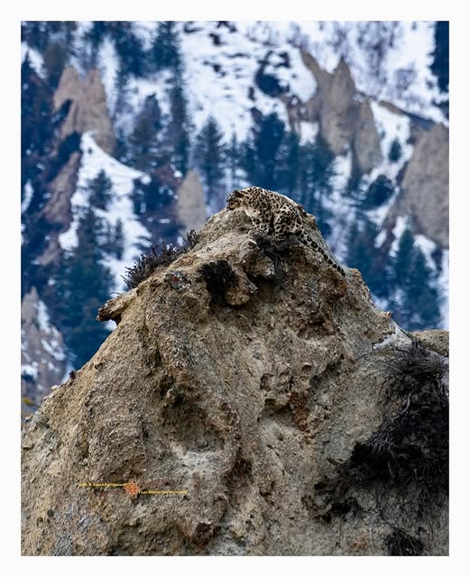 Бутан, таинственный Бутан