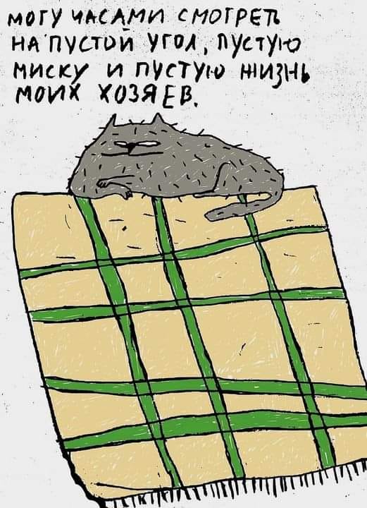 К котовторнику: подборка картинок-баянов с котиками и про котиков. Выпуск 3.