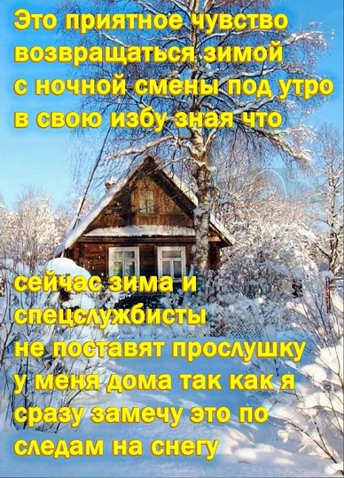 Синий Винстон
