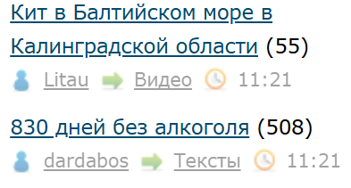 Кит в Балтийском море в Калинградской области