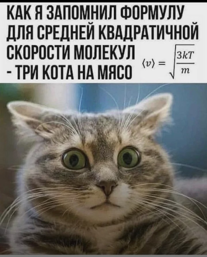 Немного е*анины на субботу