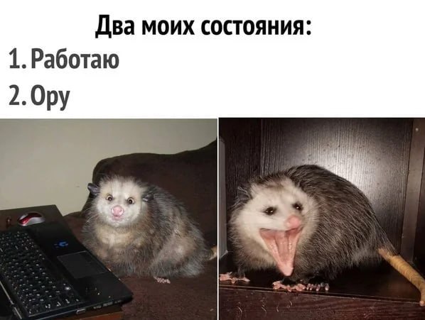 Завалялось тут случайно немного забавных картинок