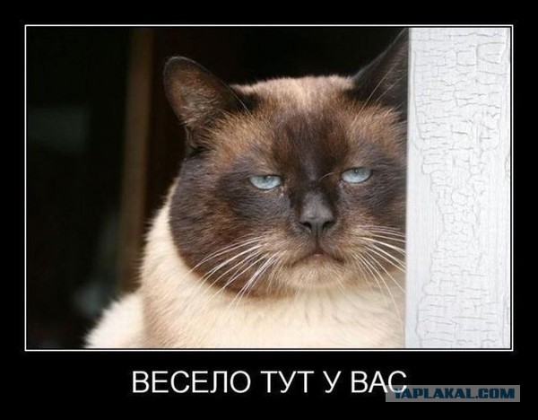 Ну-ка, руку опустил!