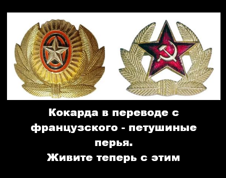 Картинки 26.08.25