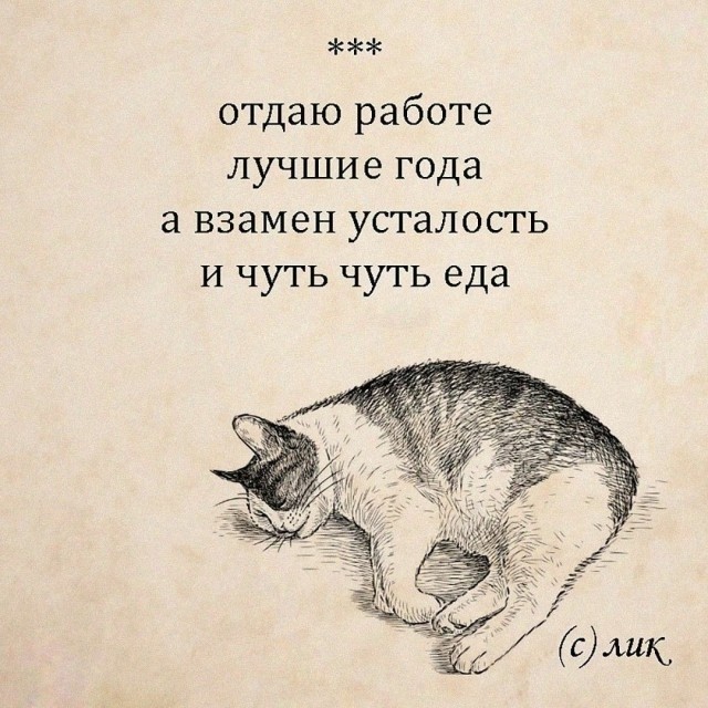 К котовторнику: подборка картинок-баянов с котиками и про котиков. Выпуск 22