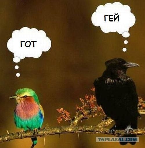 У каждой вещи есть настоящее название