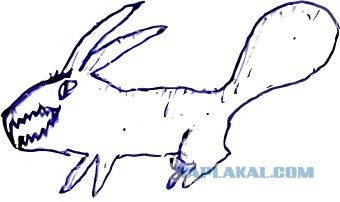 Правда про зайцев