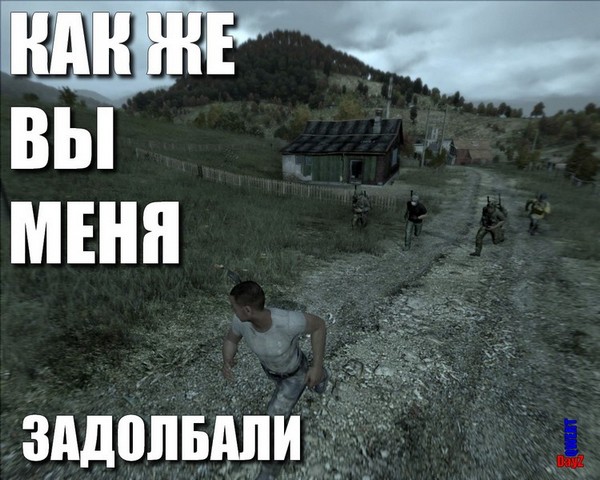DayZ в реальной жизни