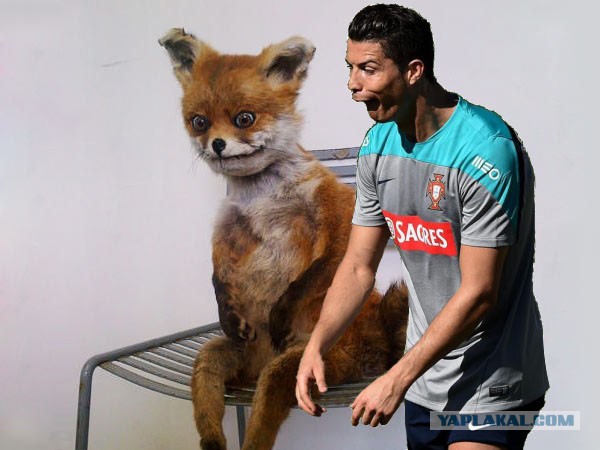 Жабельный Cristiano Ronaldo