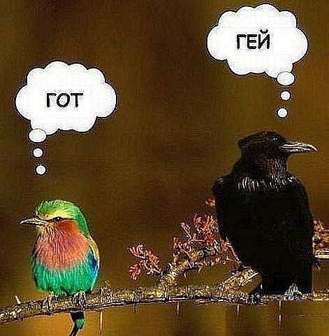 Веселые картинки.