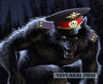 Дембель в мае прое*али, прое*ём и в ноябре!