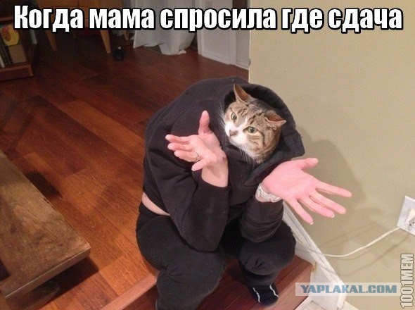 Веселые картинки