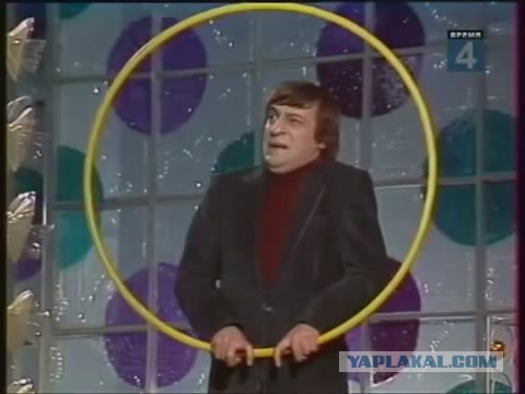 Попугай с человеком общается на равных
