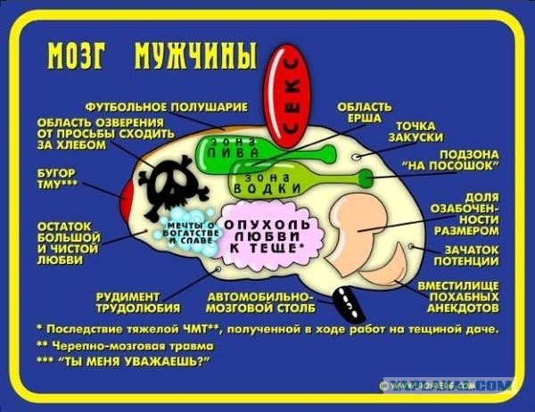 Что происходит у нас в голове?