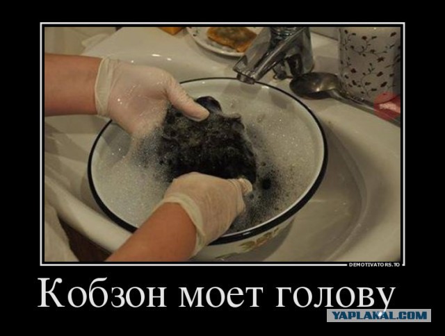 Прикольные картинки на понедельник