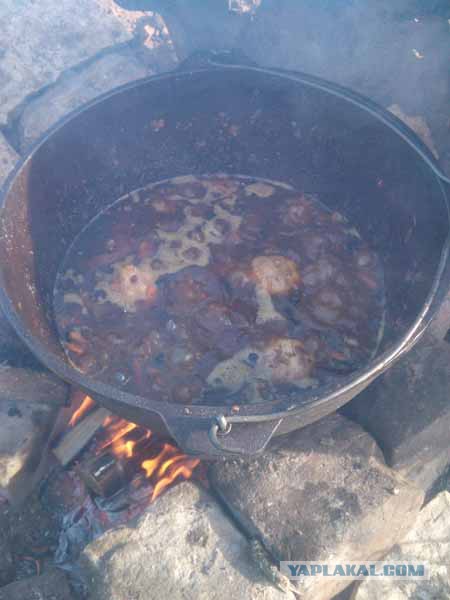 Кулинарный туризм.