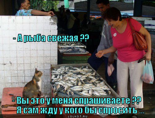 Муж рыбачит, я продаю
