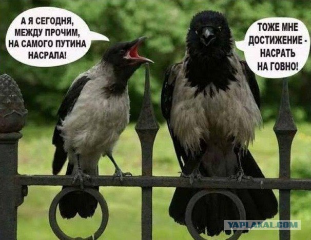 С днем рождения, В.В. Путин!